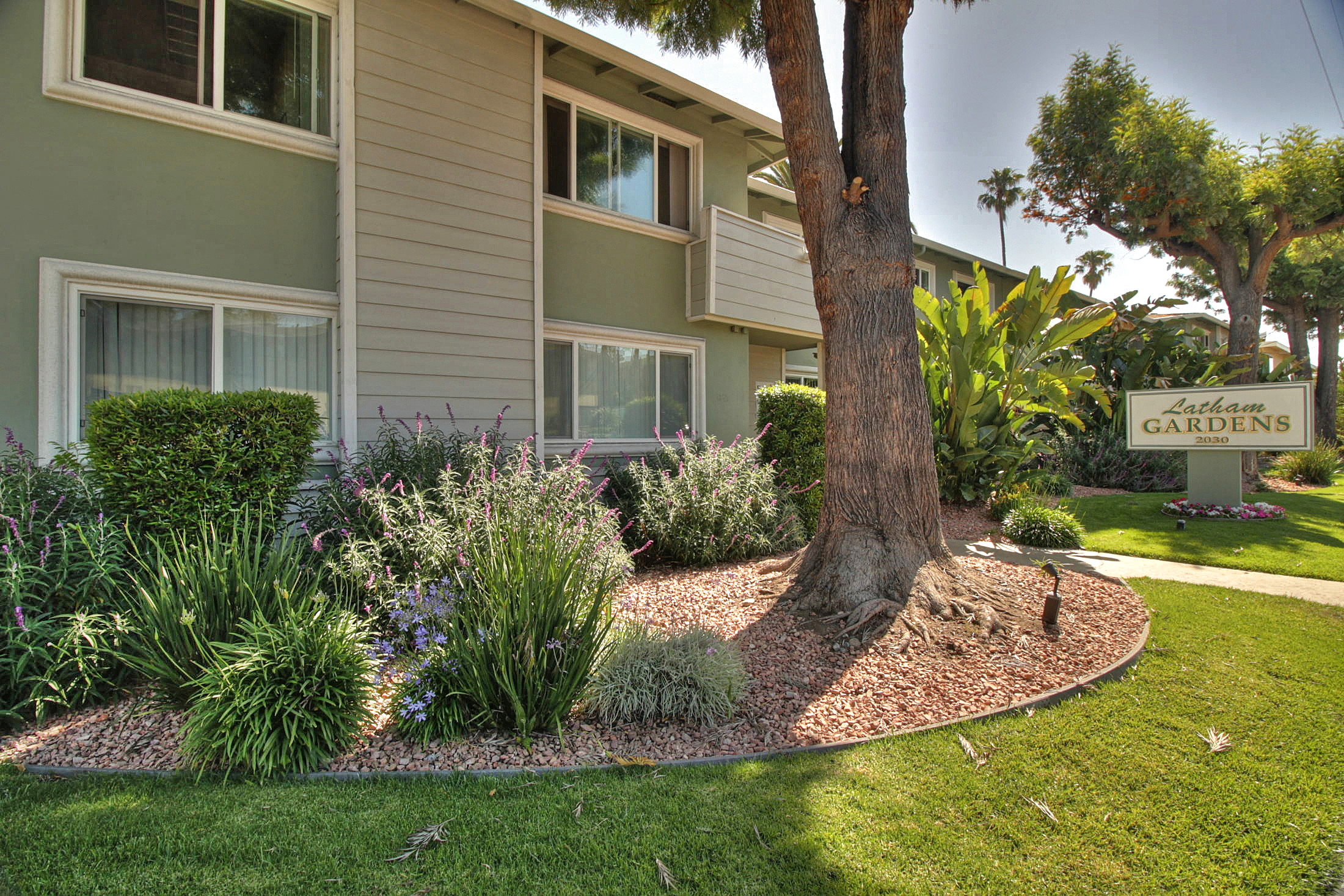 Latham Gardens photo 3